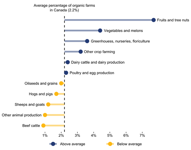 The figure shows the percentage of organic farms by production type in 2016 relative to the average percentage of organic farms in Canada, which is 2.2%. Fruits and tree nuts, and vegetables and melons are among the commodity sectors where the percentage of organic farms is higher than the national average. In contrast, the percentage of organic farms in the beef cattle sector and in other livestock types is lower than the national average.