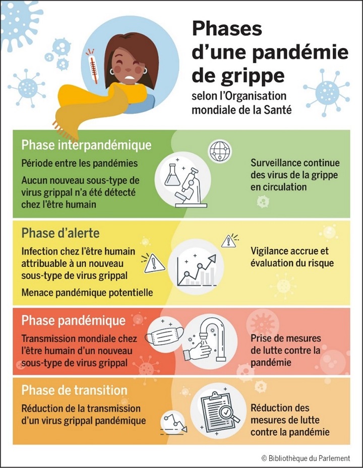 Ce graphique illustre les quatre phases d’une pandémie de grippe selon l’Organisation mondiale de la Santé. Il y a d’abord la phase interpandémique, période pendant laquelle il n’y a pas de virus qui infecte l’être humain, mais où on fait une surveillance continue des virus en circulation. La deuxième est la phase d’alerte, lorsqu’on a détecté un virus et qu’il faut accroître la vigilance. La troisième est la phase pandémique, qui survient lorsqu’il y a une transmission mondiale de la maladie infectieuse chez l’être humain nécessitant la prise de mesures de lutte contre la pandémie. La quatrième est la phase de transition, quand les niveaux de transmission diminuent et qu’il y a une réduction progressive des mesures de lutte contre la pandémie.